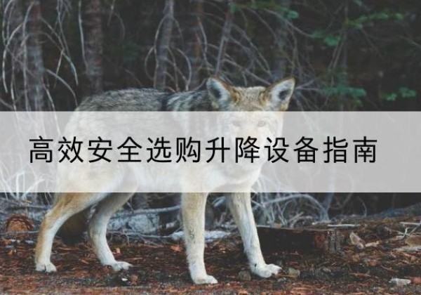 绥阳升降货梯厂家推荐-*安全选购升降设备指南