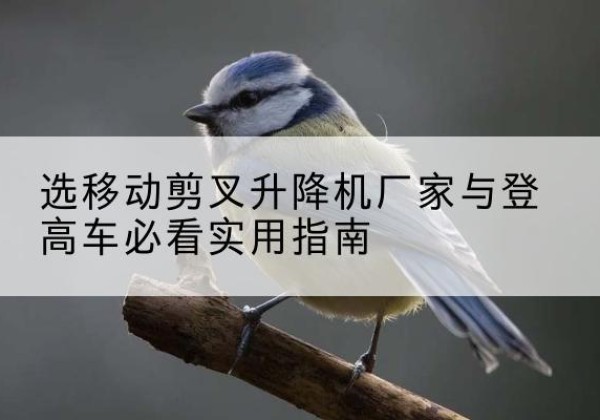 绥阳电动升降机厂家-选移动剪叉升降机厂家与登高车必看实用指南